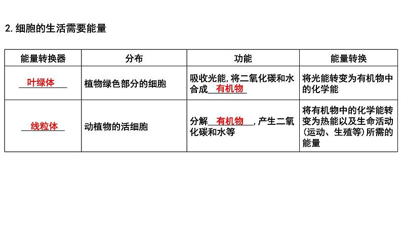 中考生物一轮复习考点通关课件专题04 观察生物的结构（含答案）07