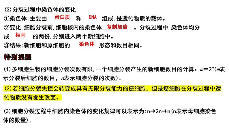 中考生物一轮复习考点通关课件专题05 生物体的结构层次（含答案）03