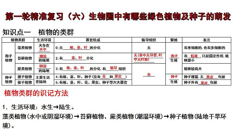 中考生物一轮复习考点通关课件专题06 生物圈中有哪些绿色植物及种子的萌发（含答案）第1页