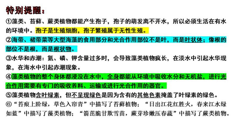 中考生物一轮复习考点通关课件专题06 生物圈中有哪些绿色植物及种子的萌发（含答案）第3页