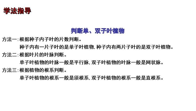 中考生物一轮复习考点通关课件专题06 生物圈中有哪些绿色植物及种子的萌发（含答案）第8页