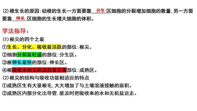 中考生物一轮复习考点通关课件专题07 被子植物的一生（含答案）第3页