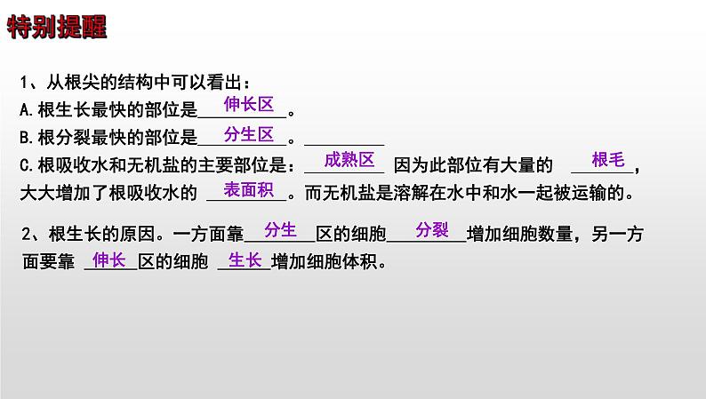 中考生物一轮复习考点通关课件专题07 被子植物的一生（含答案）第4页