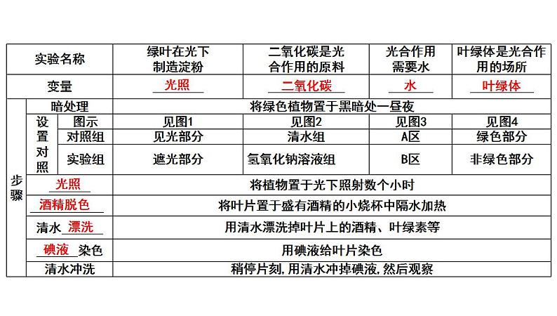 中考生物一轮复习考点通关课件专题09 绿色植物的光合作用（含答案）第4页