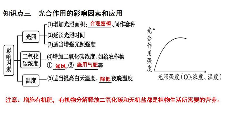 中考生物一轮复习考点通关课件专题09 绿色植物的光合作用（含答案）第8页