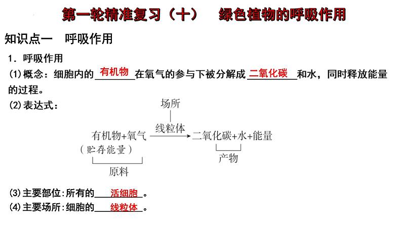 中考生物一轮复习考点通关课件专题10 绿色植物的呼吸作用（含答案）第1页