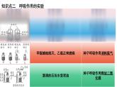 中考生物一轮复习考点通关课件专题10 绿色植物的呼吸作用（含答案）