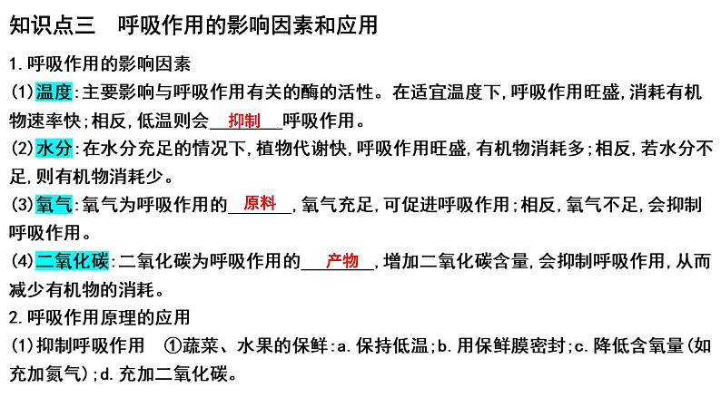 中考生物一轮复习考点通关课件专题10 绿色植物的呼吸作用（含答案）第5页