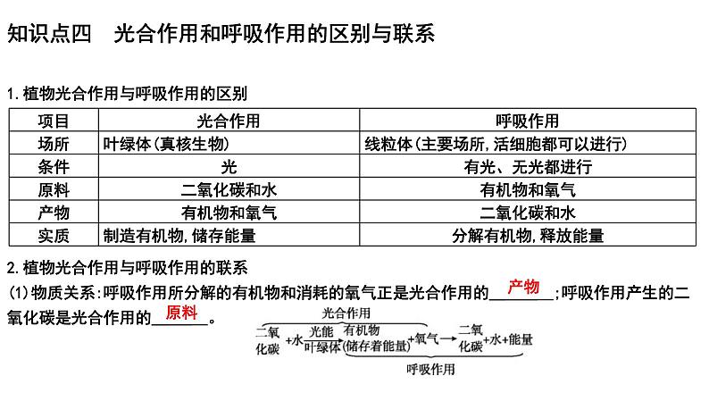 中考生物一轮复习考点通关课件专题10 绿色植物的呼吸作用（含答案）第7页