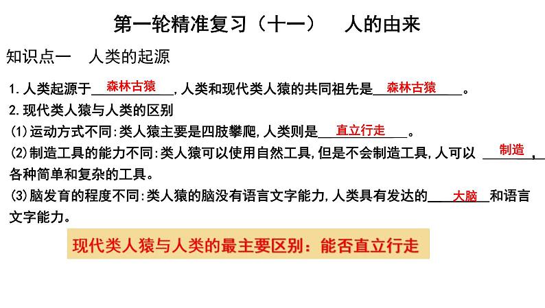 中考生物一轮复习考点通关课件专题11 人的由来（含答案）01