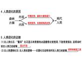 中考生物一轮复习考点通关课件专题11 人的由来（含答案）