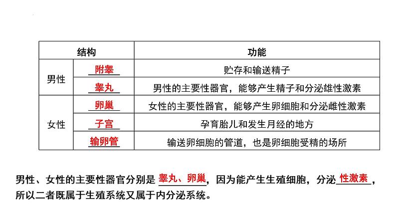 中考生物一轮复习考点通关课件专题11 人的由来（含答案）05