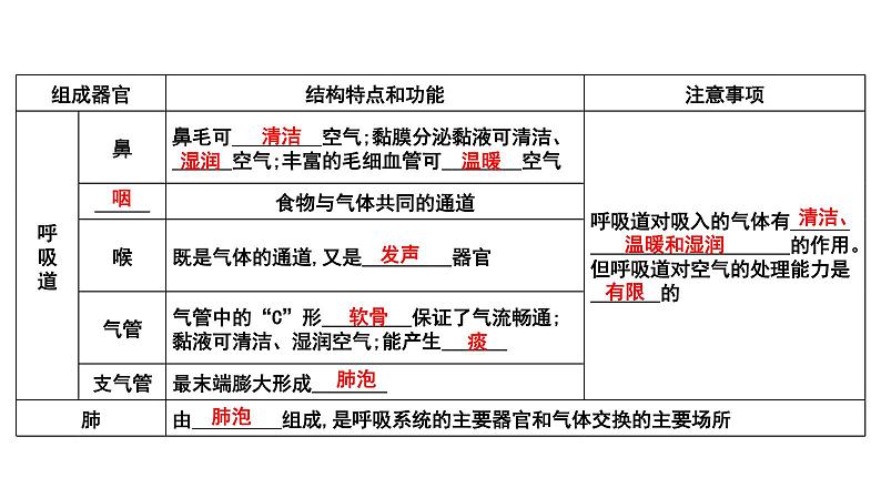 中考生物一轮复习考点通关课件专题13 人体的呼吸（含答案）02