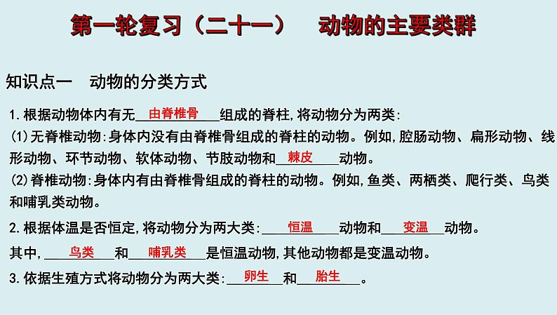 中考生物一轮复习考点通关课件专题21 动物的主要类群（含答案）01