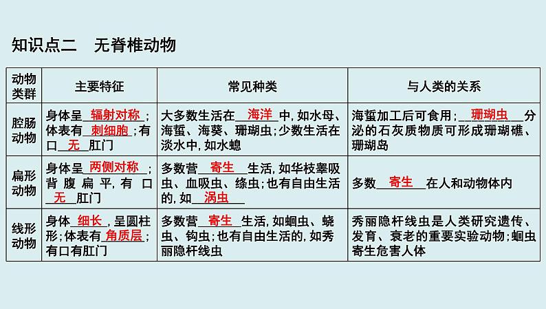 中考生物一轮复习考点通关课件专题21 动物的主要类群（含答案）02