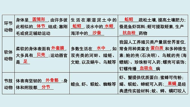 中考生物一轮复习考点通关课件专题21 动物的主要类群（含答案）03