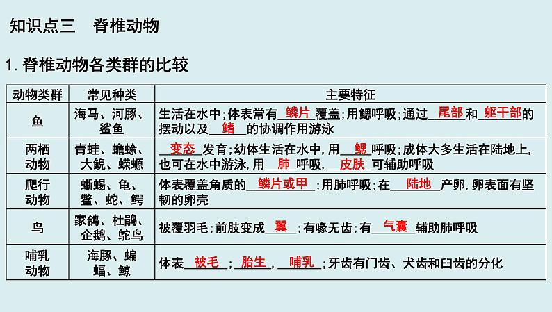 中考生物一轮复习考点通关课件专题21 动物的主要类群（含答案）08