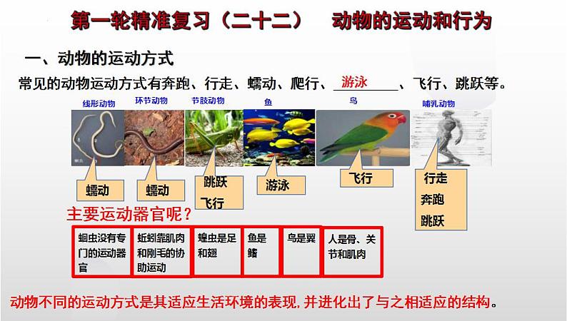 中考生物一轮复习考点通关课件专题22 动物的运动和行为（含答案）01