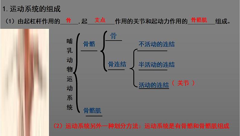 中考生物一轮复习考点通关课件专题22 动物的运动和行为（含答案）02