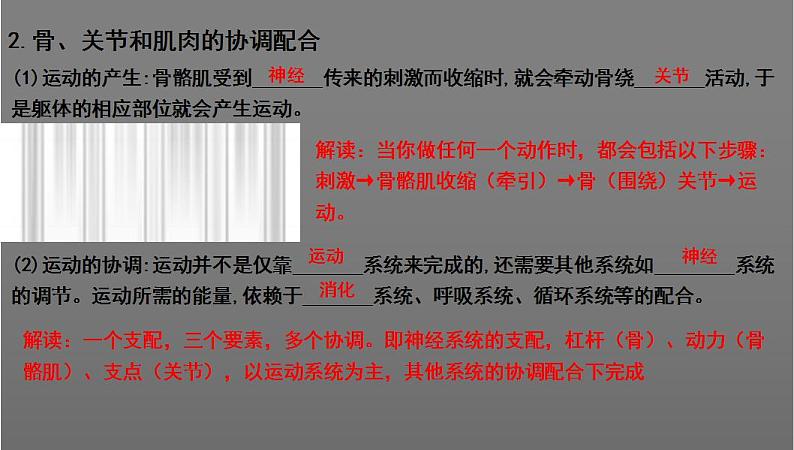 中考生物一轮复习考点通关课件专题22 动物的运动和行为（含答案）06