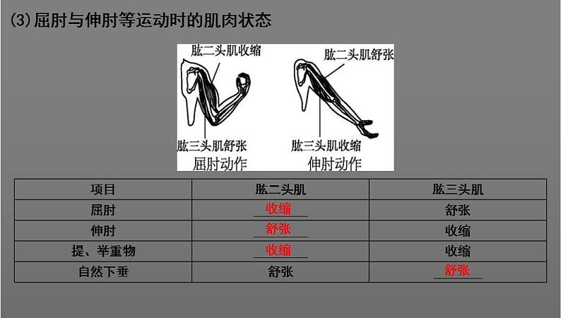 中考生物一轮复习考点通关课件专题22 动物的运动和行为（含答案）07