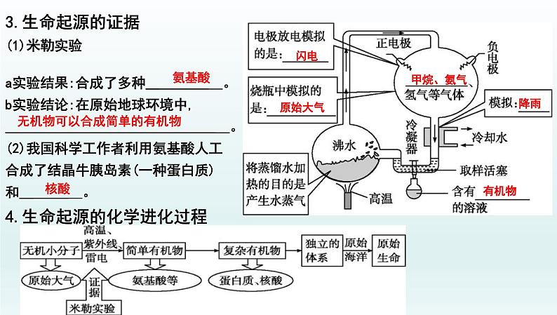 中考生物一轮复习考点通关课件专题26 生物的进化（含答案）02