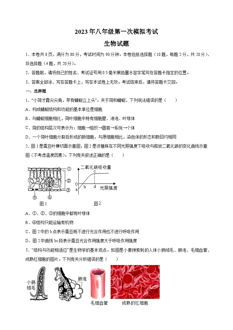 2023年徐州市中考一模生物试卷（含答案解析）01