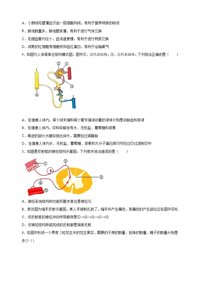 2023年徐州市中考一模生物试卷（含答案解析）02