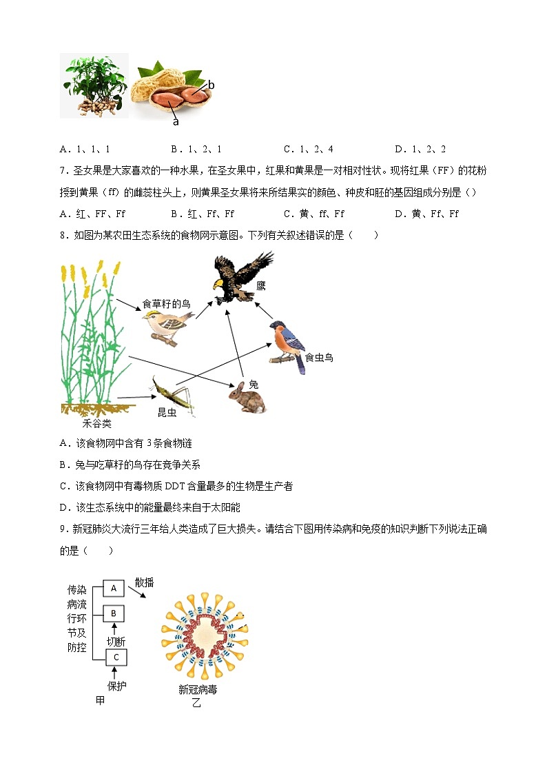2023年徐州市中考一模生物试卷（含答案解析）03