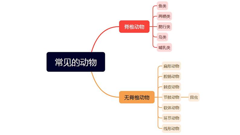 专题03 常见的生物  物种的多样性【考点串讲PPT】-2023-2024学年七年级科学上学期期末考点大串讲（浙教版）05