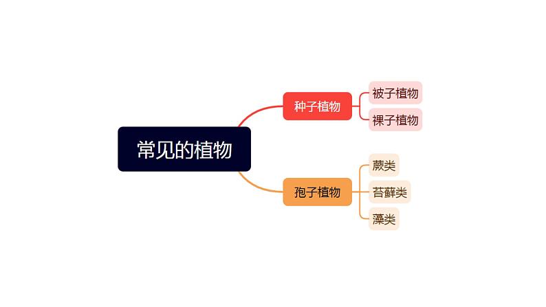 专题03 常见的生物  物种的多样性【考点串讲PPT】-2023-2024学年七年级科学上学期期末考点大串讲（浙教版）06