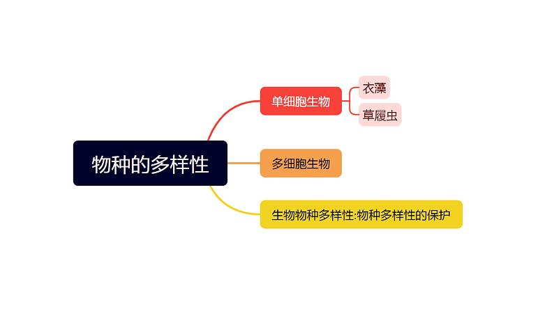 专题03 常见的生物  物种的多样性【考点串讲PPT】-2023-2024学年七年级科学上学期期末考点大串讲（浙教版）07