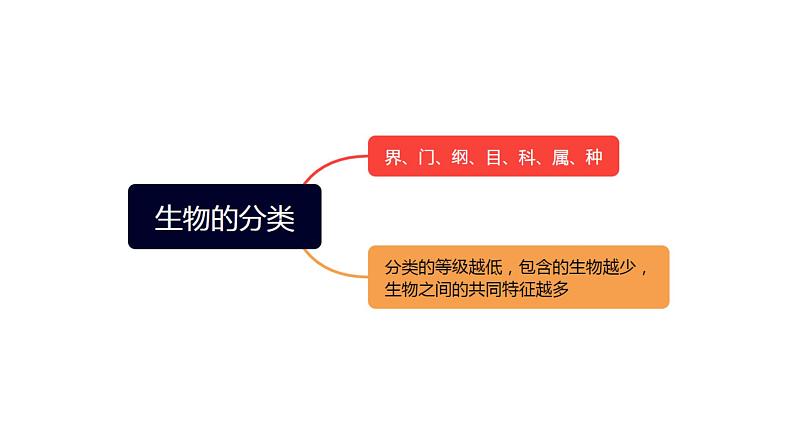 专题03 常见的生物  物种的多样性【考点串讲PPT】-2023-2024学年七年级科学上学期期末考点大串讲（浙教版）08