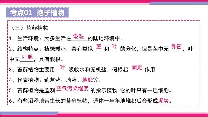 中考生物一轮复习精讲课件专题04 生物圈中有哪些绿色植物（含答案）第7页