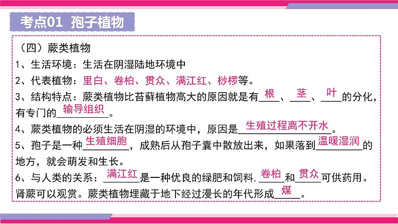 中考生物一轮复习精讲课件专题04 生物圈中有哪些绿色植物（含答案）第8页