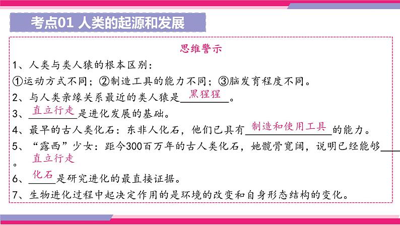 中考生物一轮复习精讲课件专题09 人的由来（含答案）07