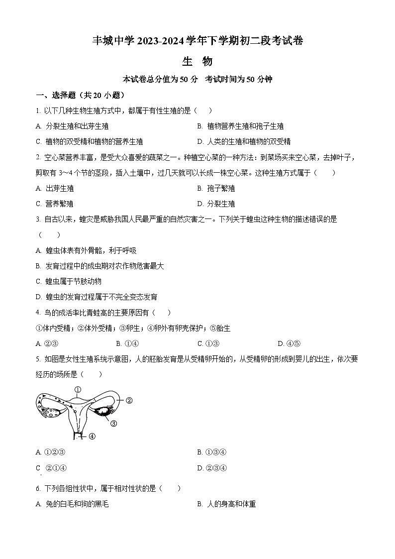 江西省丰城市丰城中学2023-2024学年八年级3月下学期月考生物试题（原卷版+解析版）01