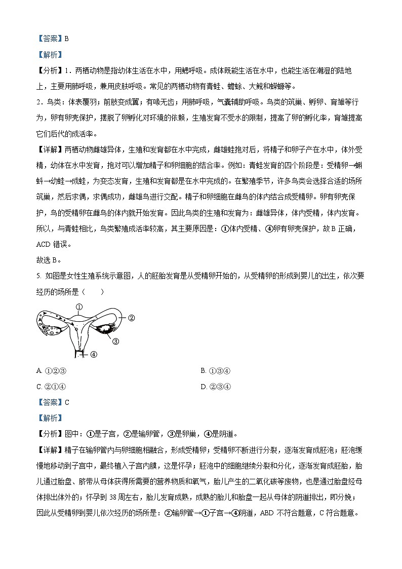 江西省丰城市丰城中学2023-2024学年八年级3月下学期月考生物试题（原卷版+解析版）03