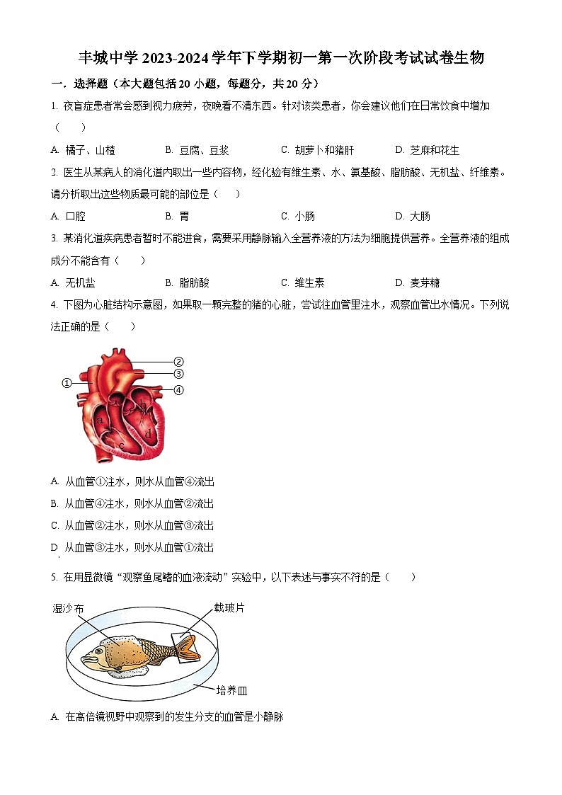 江西省丰城中学2023-2024学年七年级下学期3月月考生物试题（原卷版）第1页