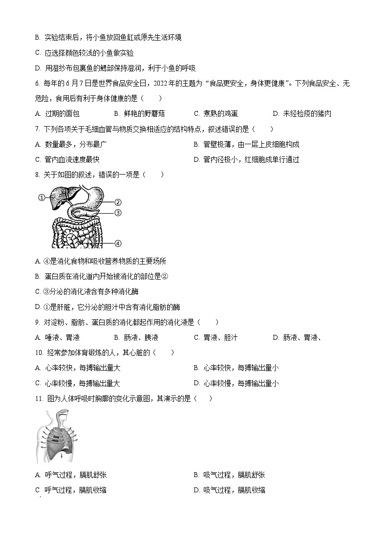 江西省丰城中学2023-2024学年七年级下学期3月月考生物试题（原卷版）第2页