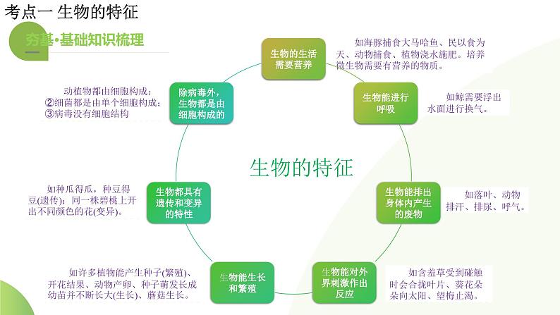 【2024年会考】初中生物一轮复习讲练测（全国通用）专题01 生物和生物圈（课件）08