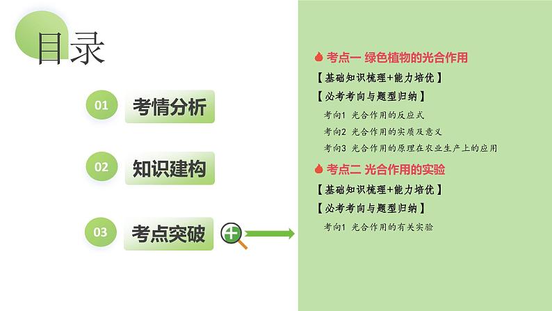 【2024年会考】初中生物一轮复习讲练测（全国通用）专题07 绿色植物的光合作用（课件）02