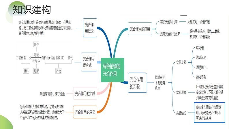 【2024年会考】初中生物一轮复习讲练测（全国通用）专题07 绿色植物的光合作用（课件）06