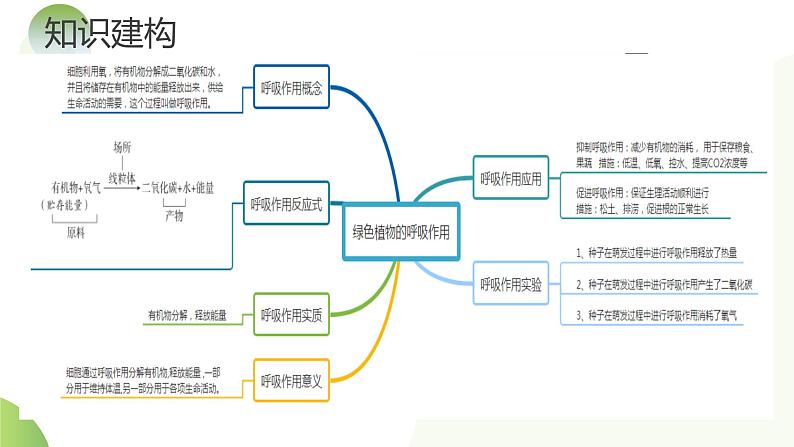 【2024年会考】初中生物一轮复习讲练测（全国通用）专题08 绿色植物的呼吸作用（课件）第6页