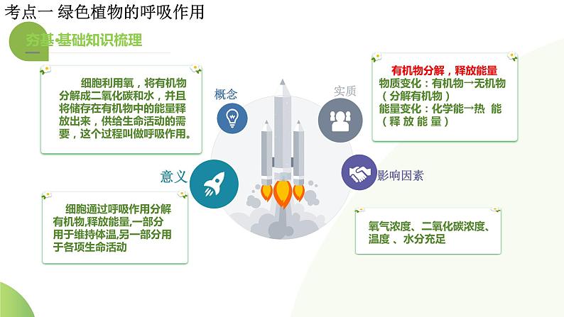 【2024年会考】初中生物一轮复习讲练测（全国通用）专题08 绿色植物的呼吸作用（课件）第8页