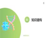 【2024年会考】初中生物一轮复习讲练测（全国通用）专题09 人的由来（课件）