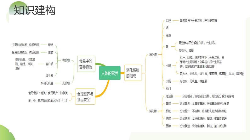 【2024年会考】初中生物一轮复习讲练测（全国通用）专题10 人体的营养（课件）第6页