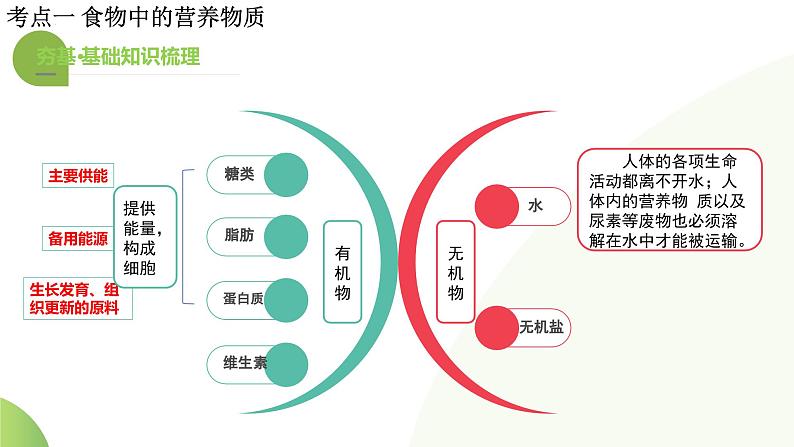 【2024年会考】初中生物一轮复习讲练测（全国通用）专题10 人体的营养（课件）第8页