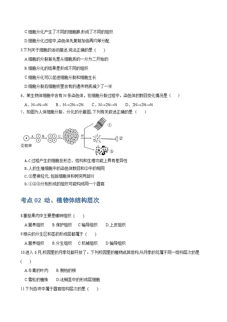 【2024会考】初中生物 专题03 细胞怎样构成生物体练习（原卷+解析版）02