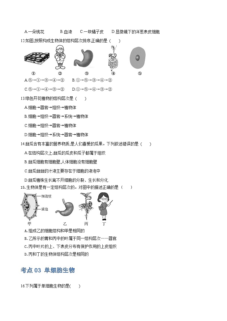 【2024会考】初中生物 专题03 细胞怎样构成生物体练习（原卷+解析版）03